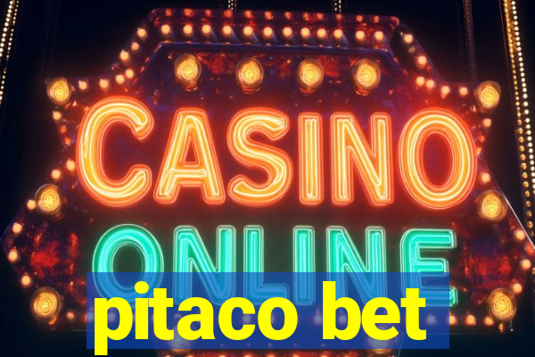 pitaco bet